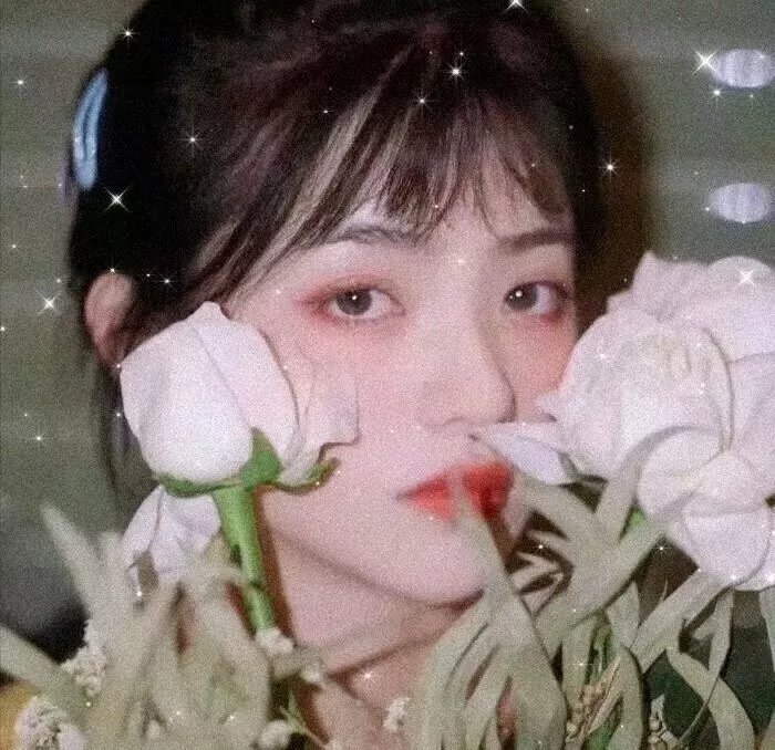 我的大猩猩妈妈